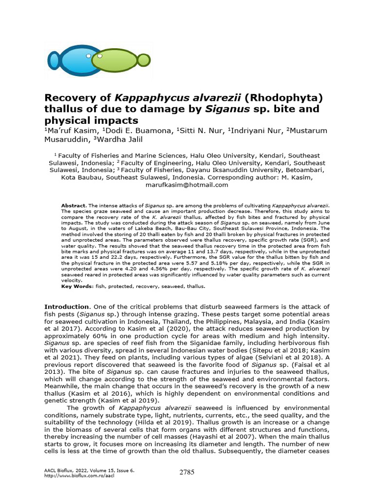 recovery-of-kappaphycus-alvarezii-rhodophyta-thallus-of-due-to-damage