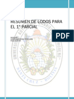 resumen-lodos-parcial