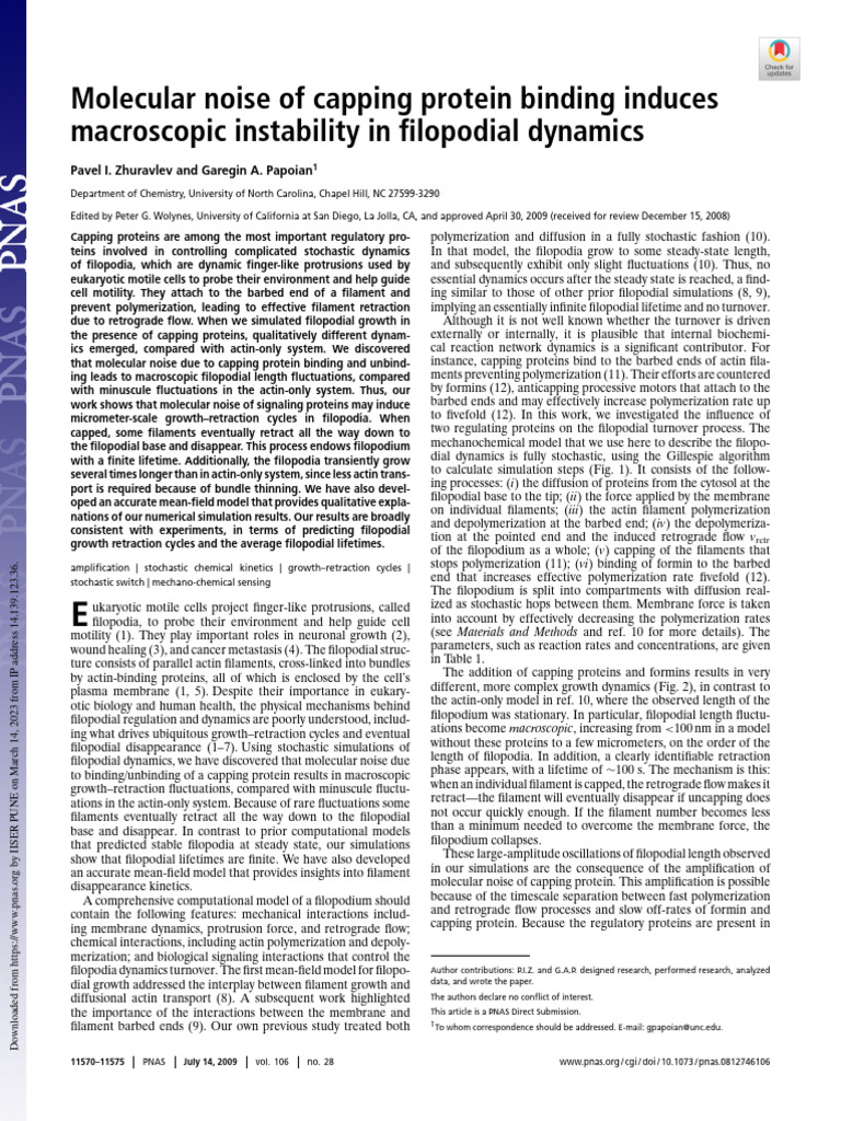 Molecular Noise of Capping Protein Binding Induces | PDF | Actin | Proteins