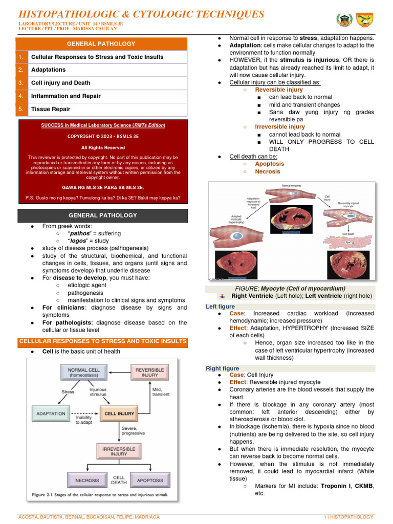 Unit 14 General Pathology | PDF | Inflammation | Necrosis