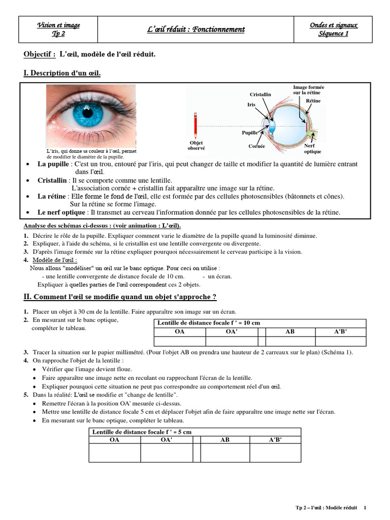 Modèle réduit de l'œil et vision PDF Œil humain Rétine — free download