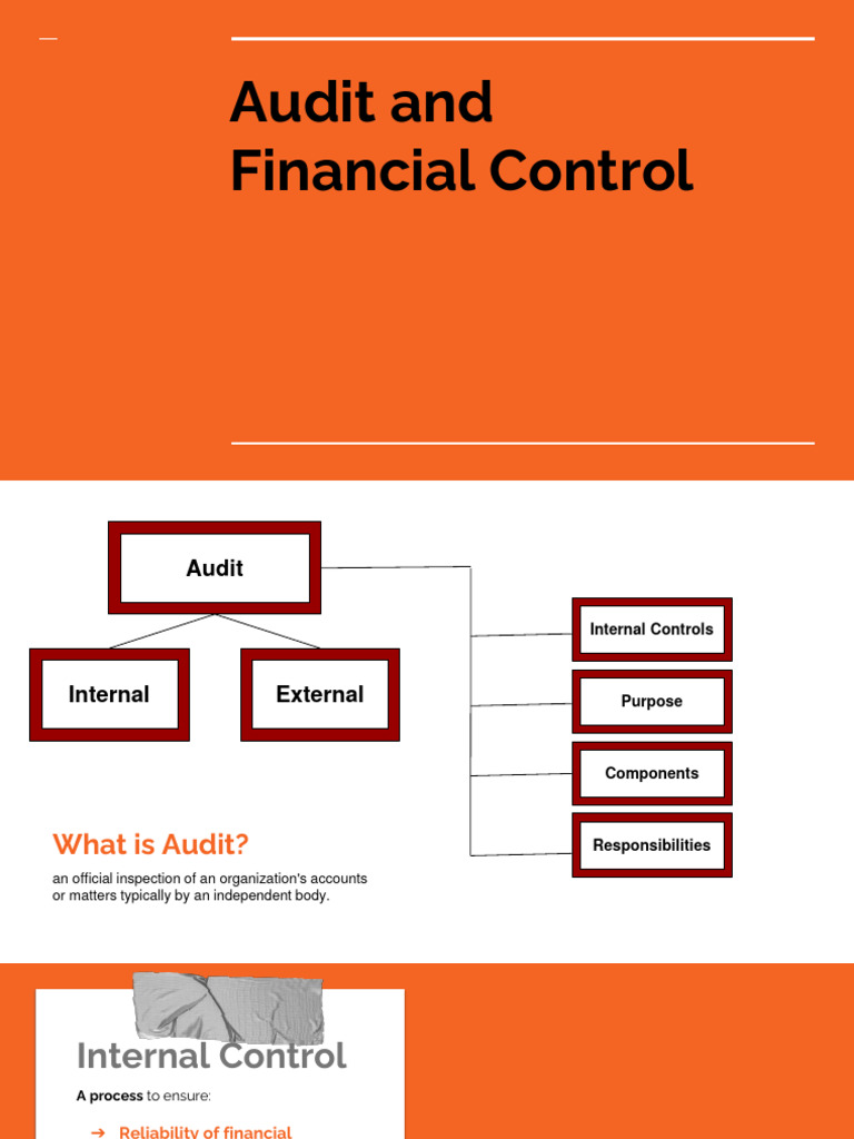 Acca F2 Audit Financial Control Fraud Money Laundering Pdf