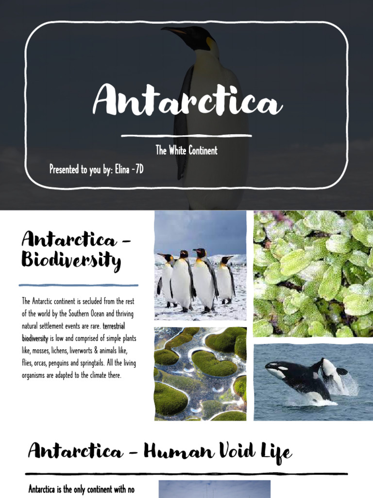 Antarctica Activity | PDF