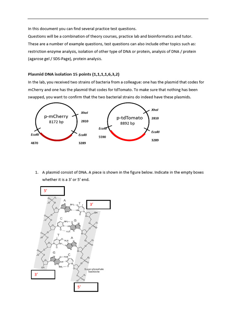 Example Exam LSBIOT Including Answers | PDF | Primer (Molecular Biology ...