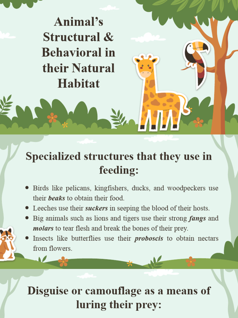 Animal’s Structural & Behavioral in their Natural Habitat | PDF ...