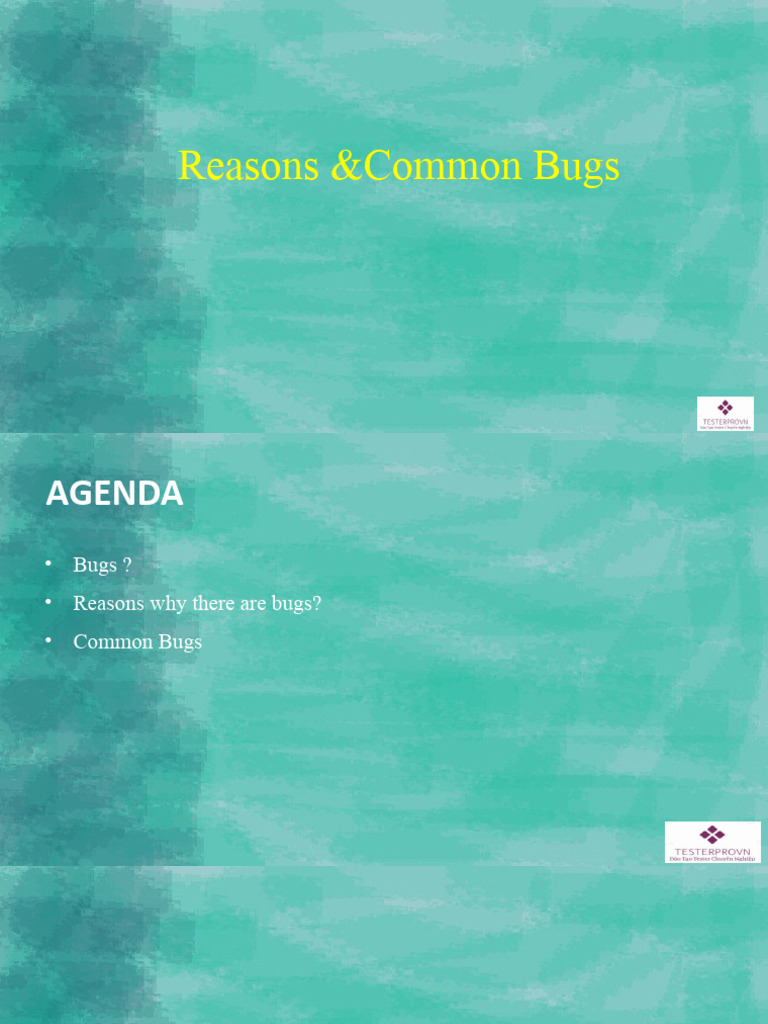 TesterProVN CommonBugs | PDF | Software Bug | Software