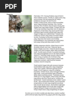 Download Lumut Kerak by Nuaim Abud SN74347185 doc pdf