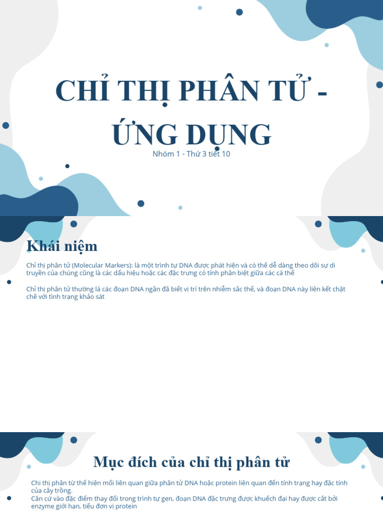 Chi Thi Phan Tu | PDF | Planets | Planets In Astrology