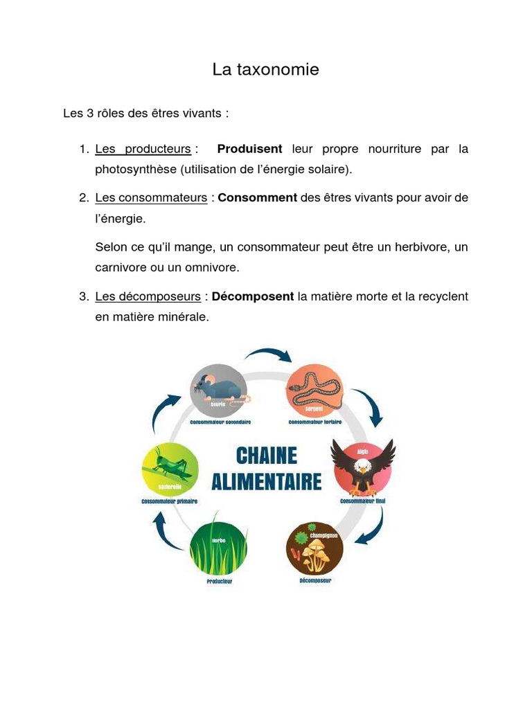 Taxonomie des êtres vivants et rôles | PDF | Cellule (Biologie ...