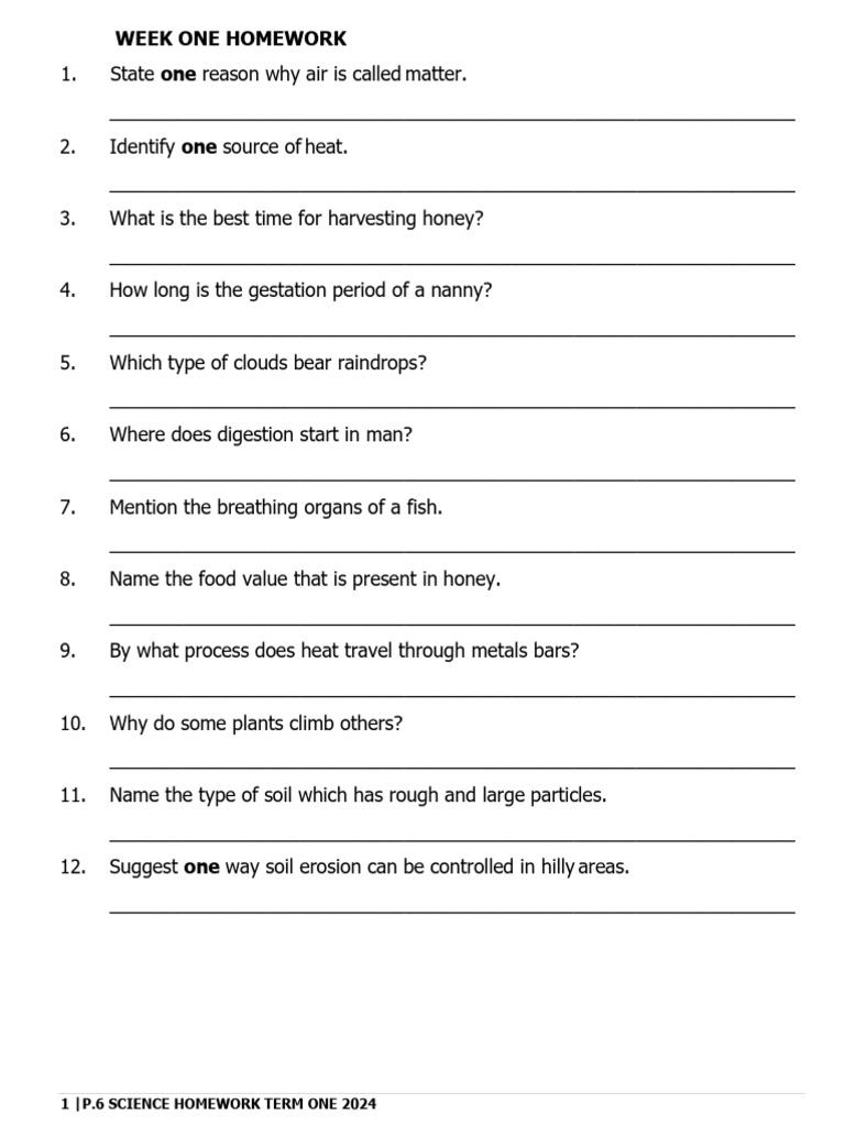 P.6 Science Homework Term 1 2024 | PDF | Foods | Photosynthesis