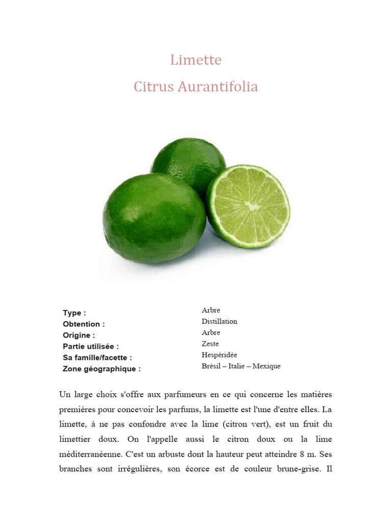 Bienfaits et usages de la limette | PDF | Lime (fruit) | Parfum
