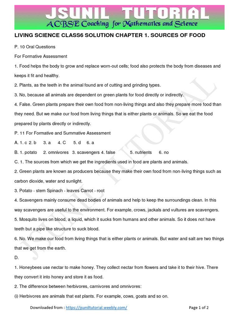 Class 6 Living Science Chapter 1 Solutions | PDF | Foods | Plants