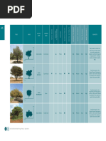 DM - Softscape Specs | PDF