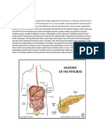 Anatomy and Physiology of Pancreas