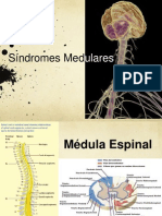 SX Medulares