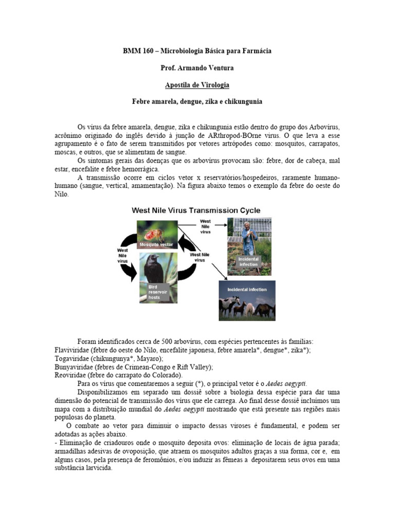 Conference 05 - 2021 Case: 03 20210922, image size:768x1024