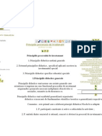 Principiile Procesului de Ant