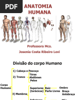 Variações e Anomalias Anatômicas | PDF | Anatomia | Humano