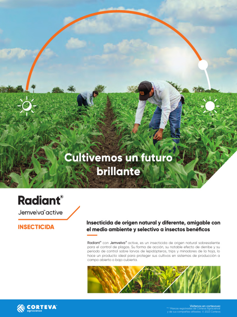 HV Ecu Radiant Baja | PDF | Insecticida | Agricultura