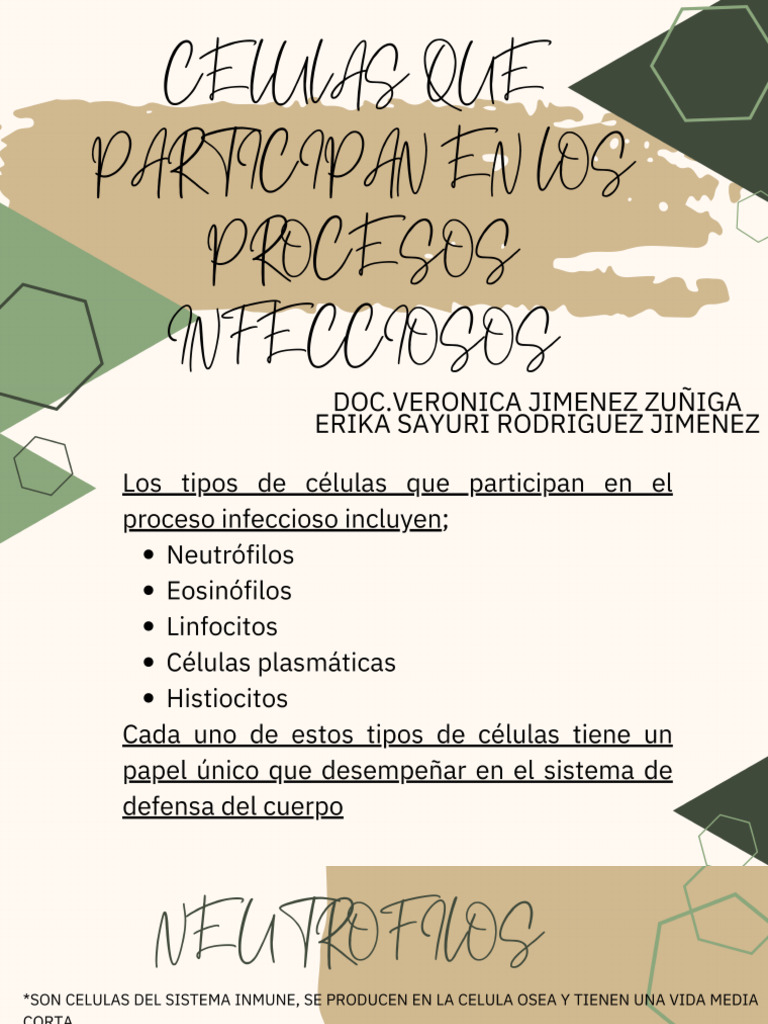 Celulas Que Participan en Los Procesos Infecciosos | PDF