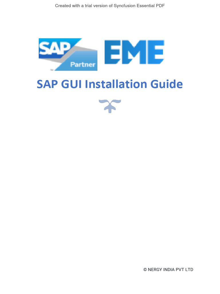 SAP GUI Installation Steps Guide | PDF | Graphical User Interfaces ...