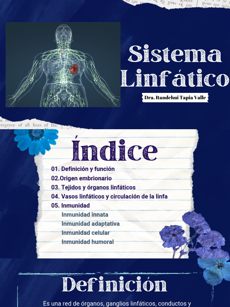 Sistema Linfático Descargar Gratis Pdf Sistema Linfático Ganglio
