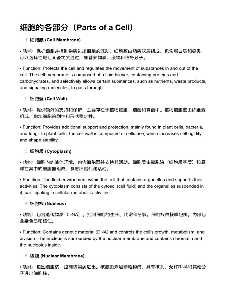细胞的各部分（Parts of a Cell） | PDF | Endoplasmic Reticulum | Cell (Biology)
