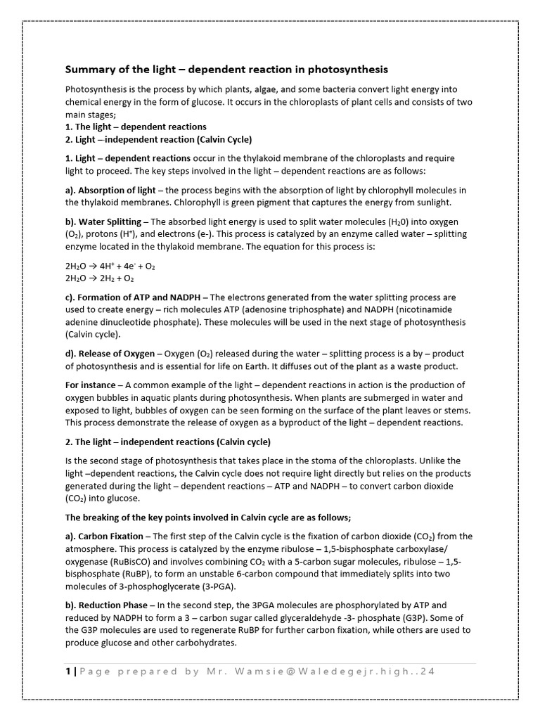 Summary of The Light | PDF | Photosynthesis | Biochemistry