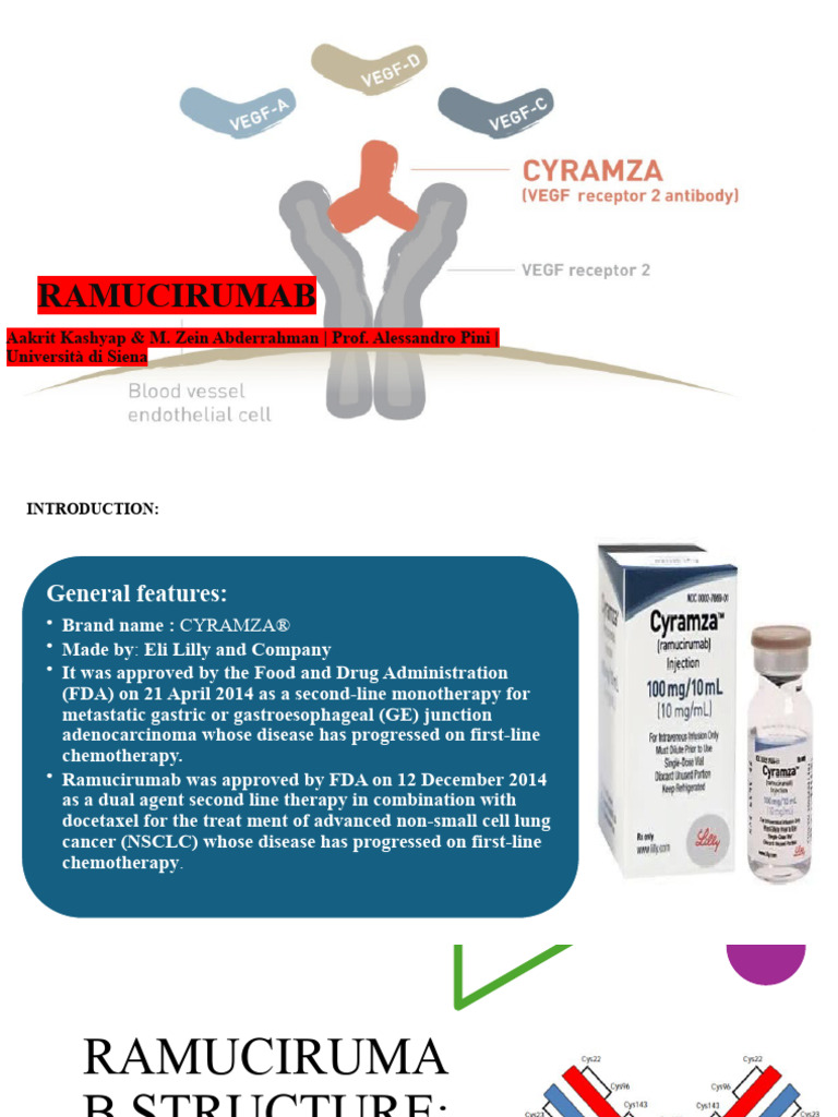 Ramucirumab | PDF | Medical Treatments | Clinical Medicine