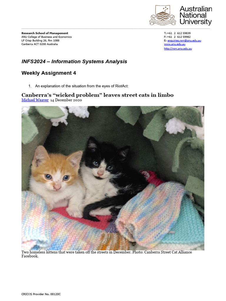 INFS2024 S1 2024 - Weekly Assignment 4 | PDF | Cats | Wildlife
