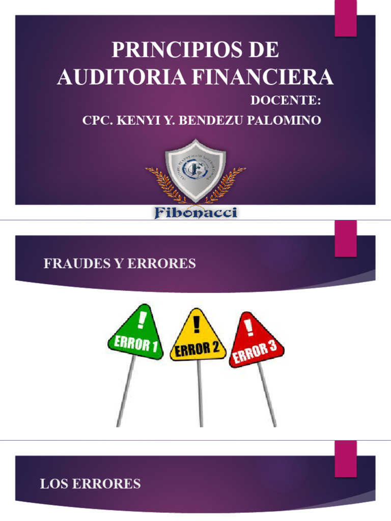 Principios de Auditoria Financiera 1.7 | PDF | Auditoría | Contralor
