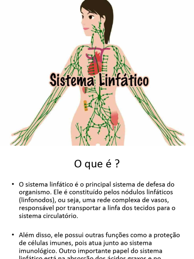 Aula Sistema Linfatico Download Grátis Pdf Sistema Linfático Linfa