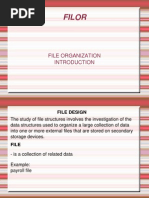 File Organization Midterm