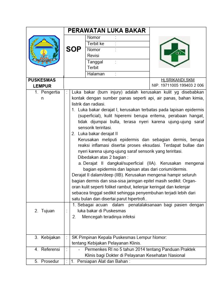 Perawatan Luka Bakar | PDF