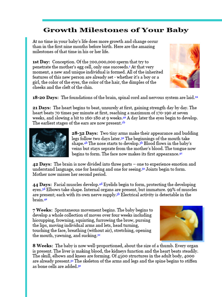 Growth Milestones of Your Baby | PDF | Anatomy | Human Anatomy