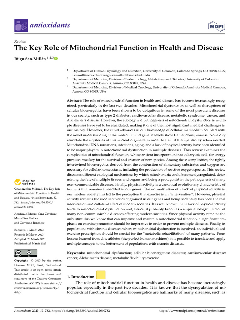 The Key Role of Mitochondrial Function in Health A | PDF ...