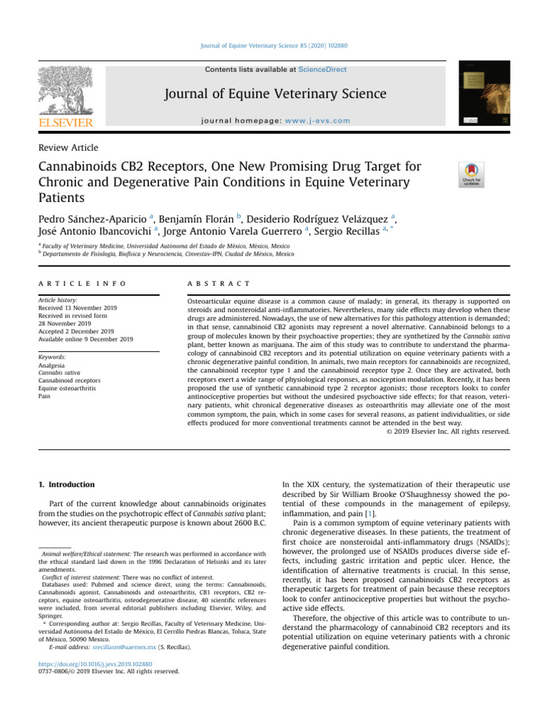 Cannabinoid CB2 Receptors in Equine Pain | PDF | Chemical Synapse ...