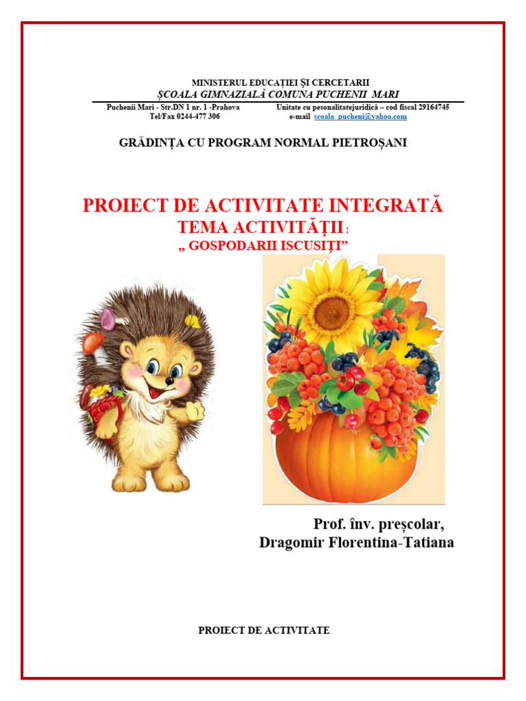 Proiect Activitate Matematica | PDF
