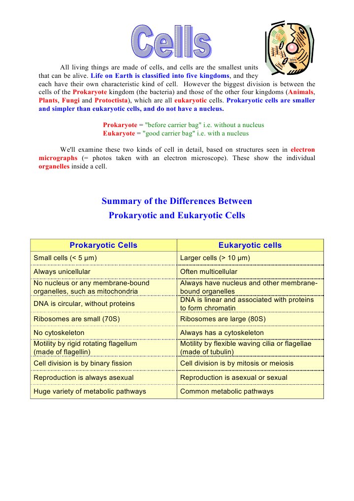 Difference Between Prokaryotic and Eukaryotic Cell | PDF