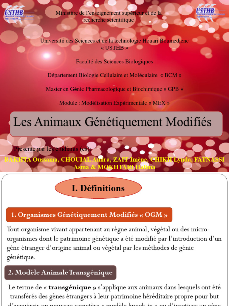 Animaux Génétiquement Modifiés : Transgénèse | PDF | Organisme ...