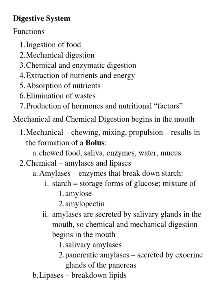 Digestive system notes pdf digestion human digestive system