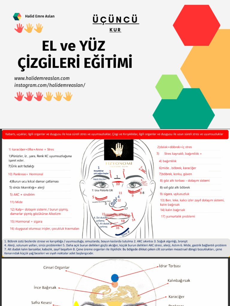 Halid Emre Aslan (3. Kur) | PDF
