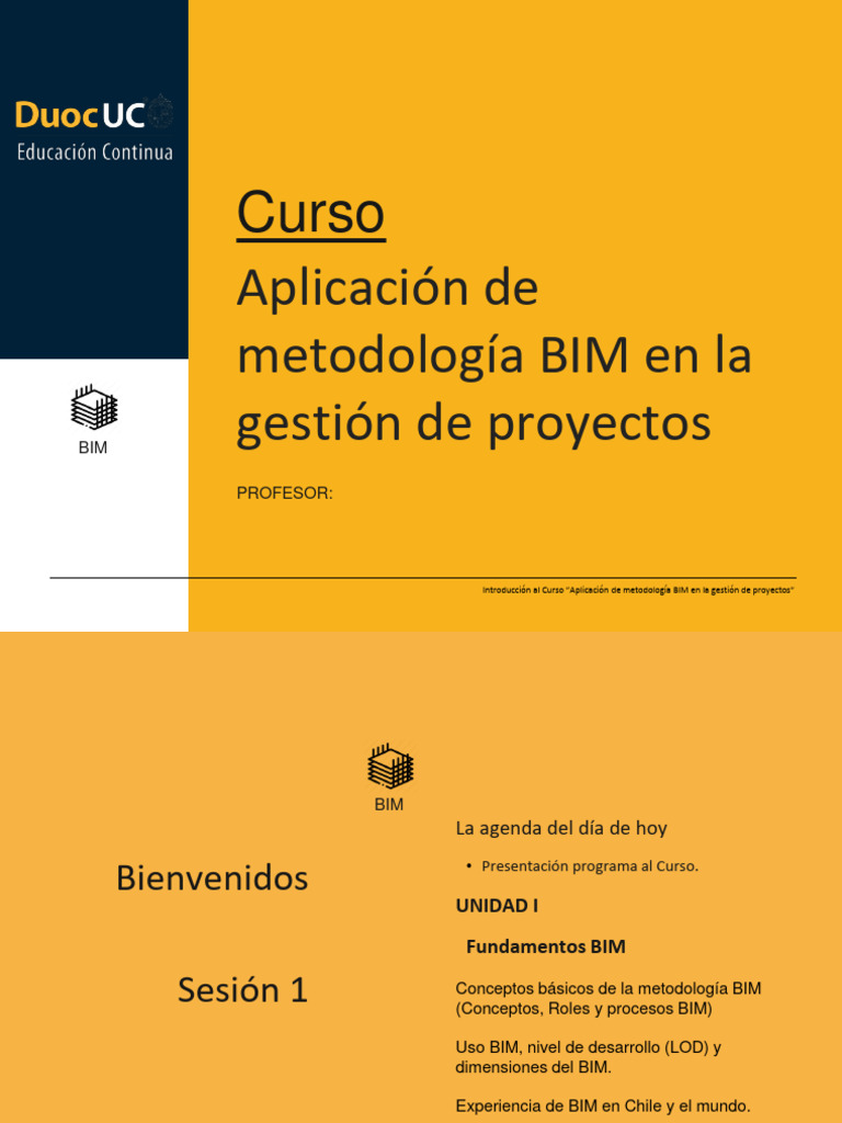 Unidad 1 - Fundamentos y Revisión BIM - 2021 | PDF | Modelado de ...