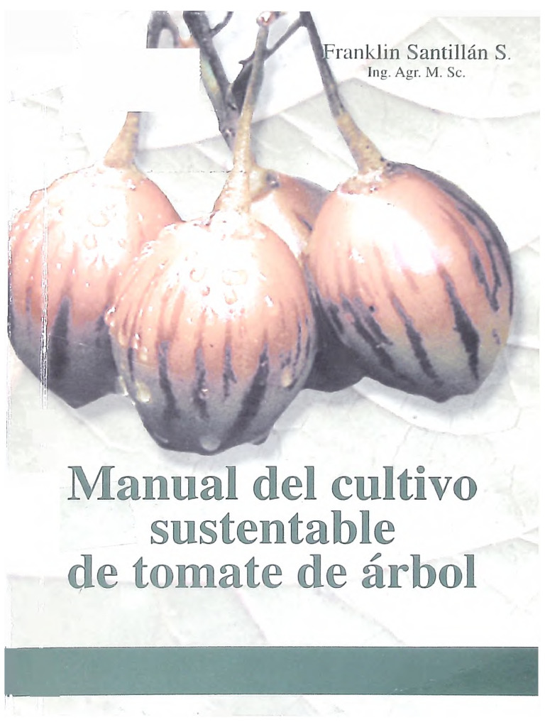 Manual Del Cultivo Sustentable De Tomate De árbol Pdf Fertilizante