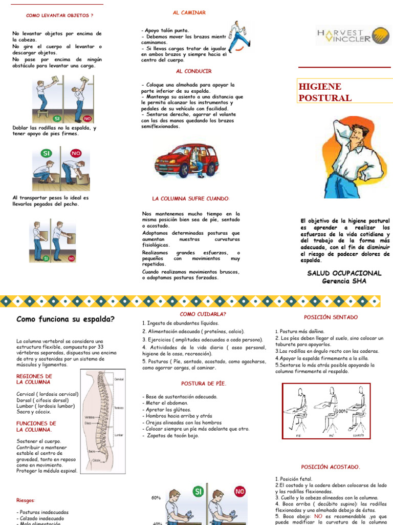 Higiene Postural y Cuidado de la Columna | PDF | La columna vertebral ...