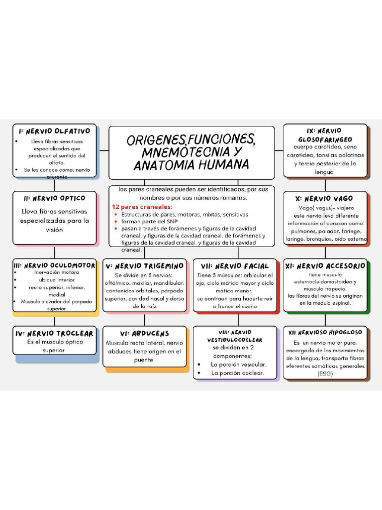 Mapas Del Video 1 | PDF