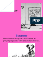 Taxonomy Presentation 