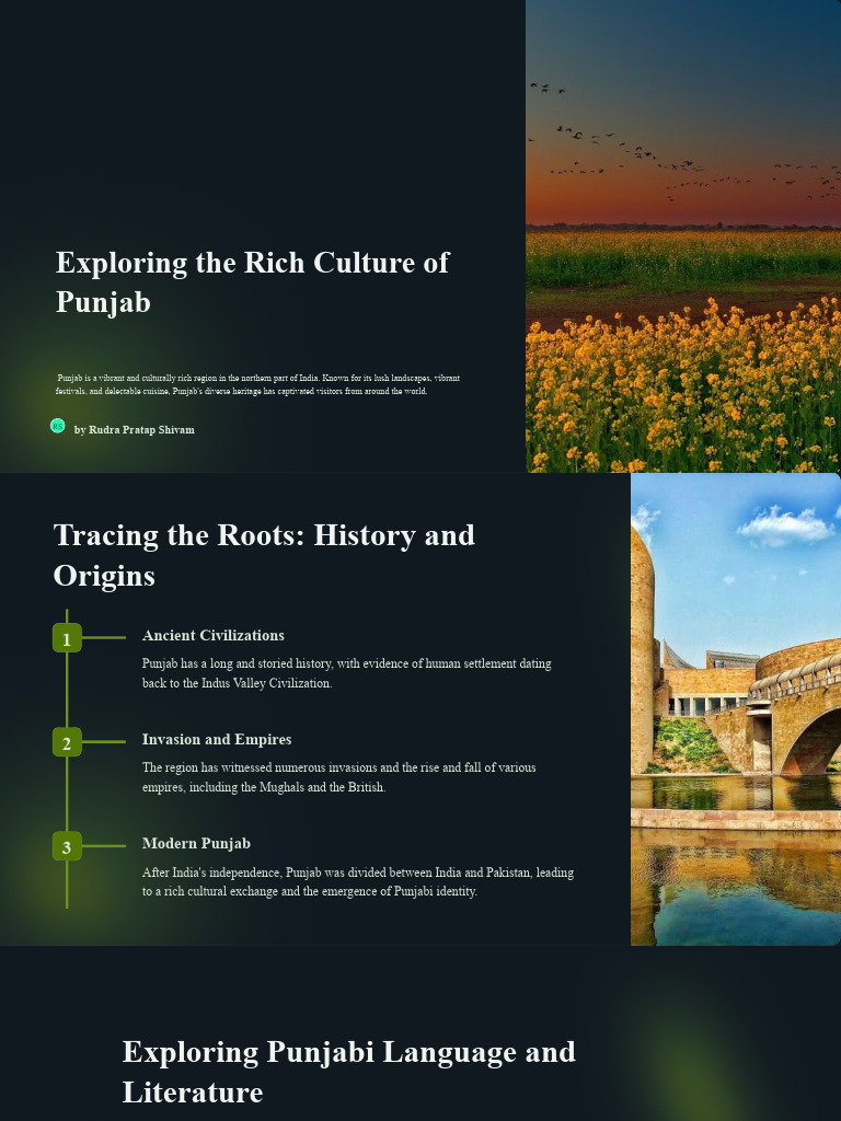 Punjab visual data 2