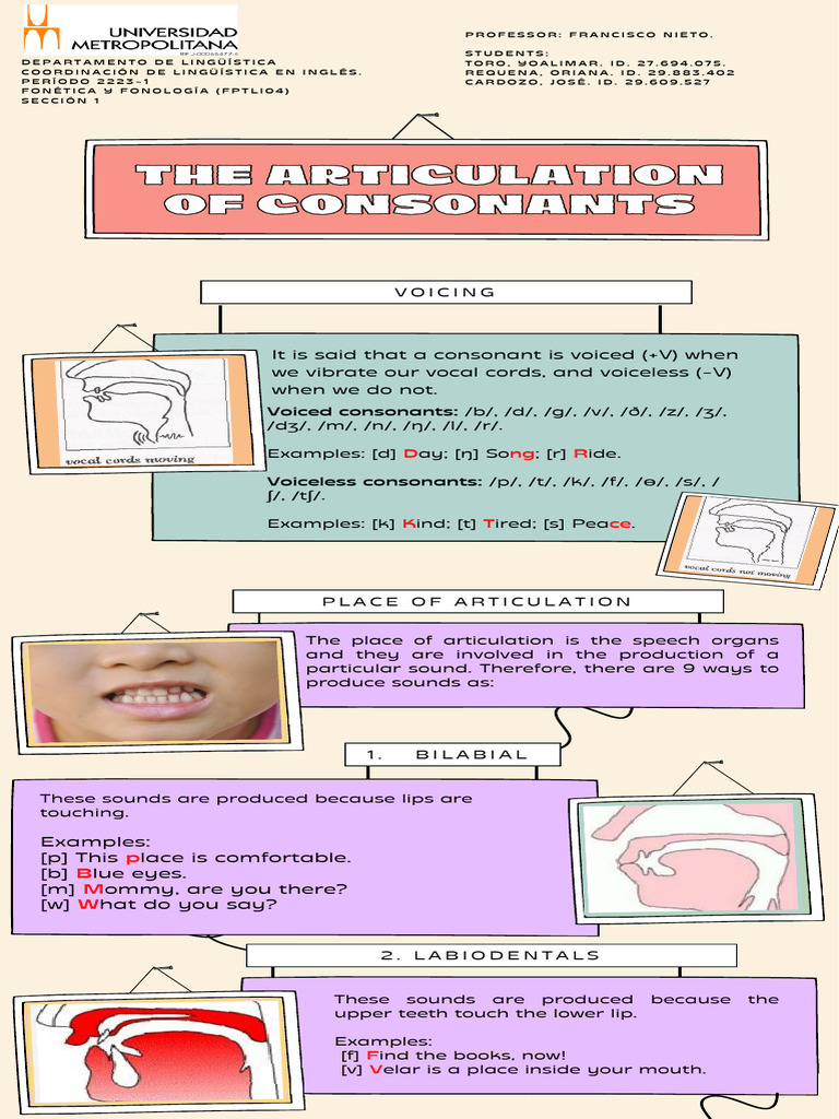 Consonant Articulation and Voicing | PDF | Linguistics | Phonetics