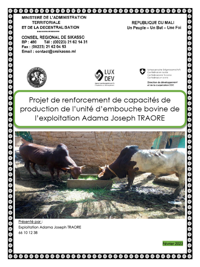 Projet d'embouche bovine au Mali | PDF | Bovins domestiques | Viande